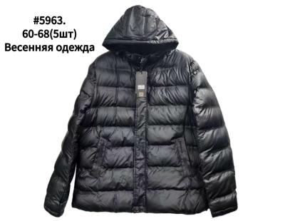 Куртка мужская демисезон плащевка