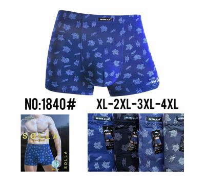 Трусы норма1xl-4XL Бамбук  Уп: 24 штук моделы 1840