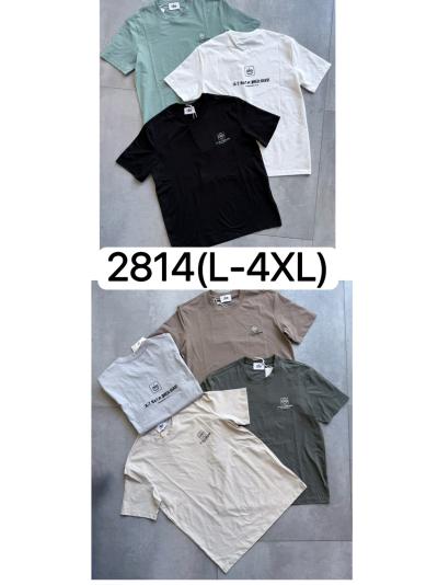 Футболка мужской трикотаж  L-4XL Упаковка один цвет 5размер/чёны/кофе/коричевый /беля