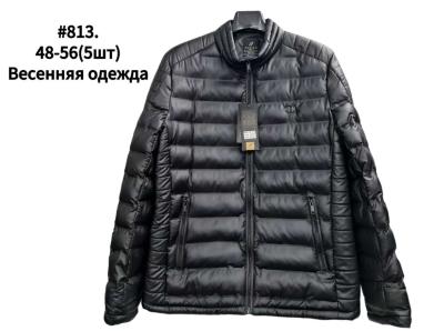 Куртка мужская демисезон плащевка