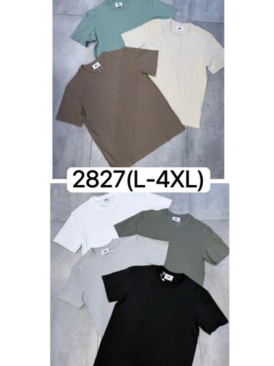 Футболка мужской трикотаж  L-4XL Упаковка один цвет 5размер/чёны/кофе/коричевый /беля