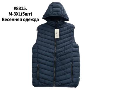Куртка мужская демисезон плащевка