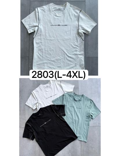 Футболка мужской трикотаж  L-4XL Упаковка один цвет 5размер/чёны/кофе/коричевый /беля