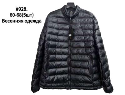 Куртка мужская демисезон плащевка