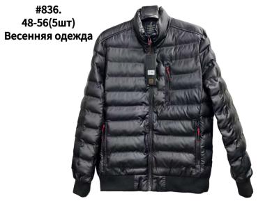 Куртка мужская демисезон плащевка