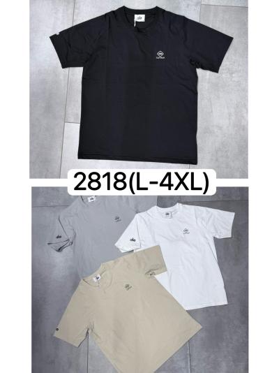 Футболка мужской трикотаж  L-4XL Упаковка один цвет 5размер/чёны/кофе/коричевый /беля